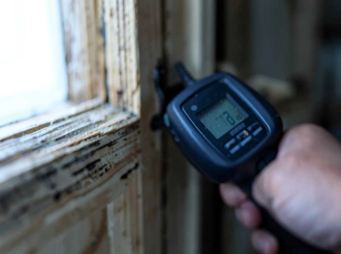 Water Damage Restoration Myrtle, MS FAQs